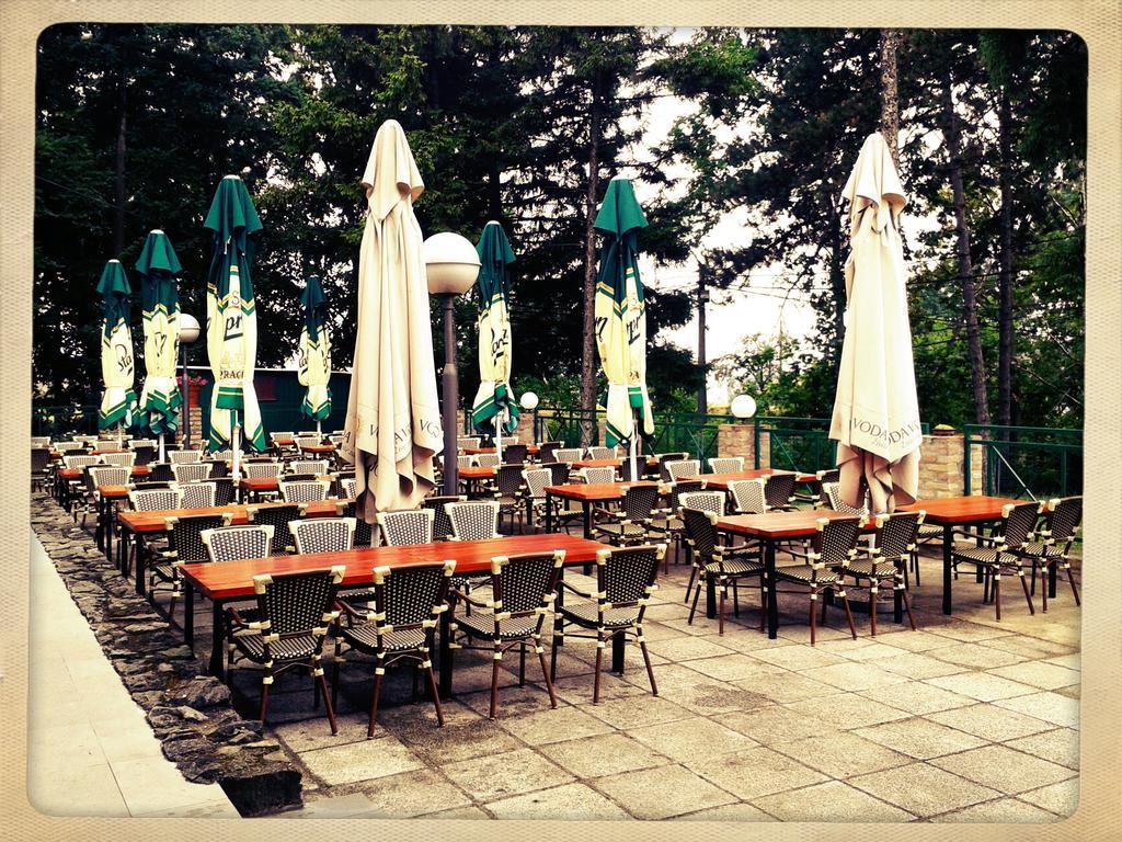 Hotel 1000 Ruza Belgrad Exterior foto